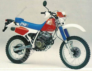 250 XR 1986 XR250RG