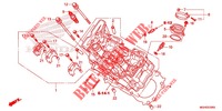 CYLINDER HEAD (AVANT) dla Honda CROSSTOURER 1200 DCT RED 2016