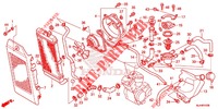 RADIATOR  (VT750C/CA/CS/C2/C2F/C2B) dla Honda SHADOW VT 750 SPIRIT F 2012