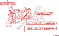 STICKERS dla Honda ZOOMER 50 DELUXE 2008