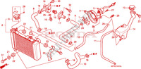 RADIATOR dla Honda CBR 125 TRICOLOUR 2010