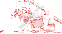 RADIATOR (L.) (VTR1000SP2 /3/4/5/6) dla Honda VTR 1000 SP2 2003