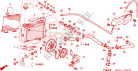 RADIATOR (R.) (VTR1000SP2 /3/4/5/6) dla Honda VTR 1000 SP2 100CV 2004