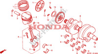 CRANKSHAFT dla Honda CB 500 34HP 2002