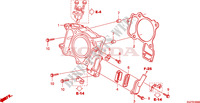CYLINDER dla Honda FORZA 250 ABS 2009