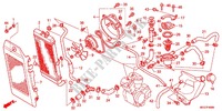RADIATOR (VT750C2B/C2S/CS/C/CA) dla Honda SHADOW VT 750 PHANTOM 2012