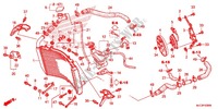 RADIATOR dla Honda CBR 600 RR VERMELHO 2014