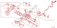 REAR BRAKE CALIPER dla Honda CBR 250 R ABS TRICOLORE 2011