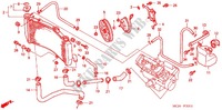 RADIATOR (CBR900RR'02,'03) dla Honda CBR 954 RR 2002