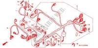 WIRE HARNESS (AVANT) dla Honda RVT 1000 R RC51 2002