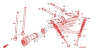 CAMSHAFT dla Honda FOURTRAX 500 FOREMAN 4X4 Power Steering 2011
