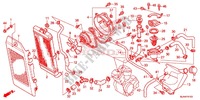 RADIATOR (VT750C/CA/C2/C2B/C2F/CS/C2S) dla Honda SHADOW VT 750 SPIRIT F 2013