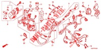 WIRE HARNESS (NSC50/MPD/WH) dla Honda VISION 50 2012