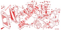RADIATOR (VT750C2B/C2S/CS/C/CA) dla Honda SHADOW VT 750 SPIRIT S 2012